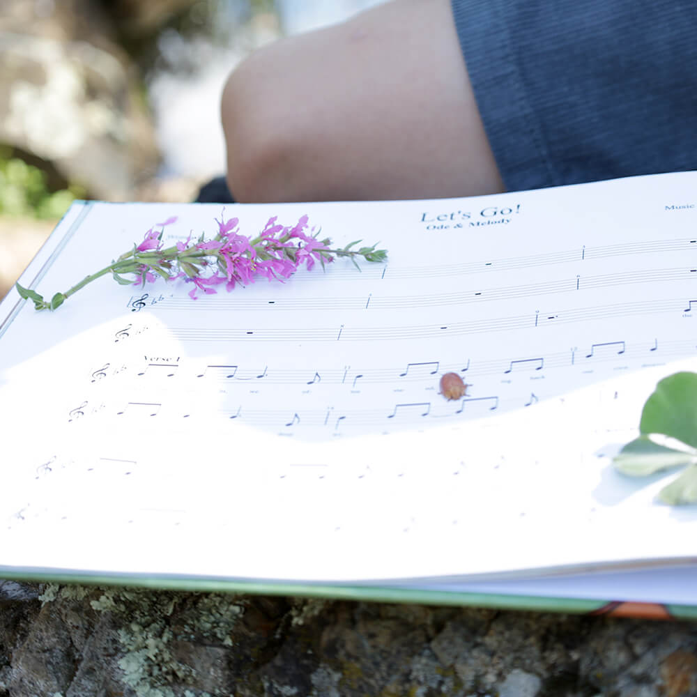 Ode & Melody: The First Chord Children's Music Hardcover Story Book